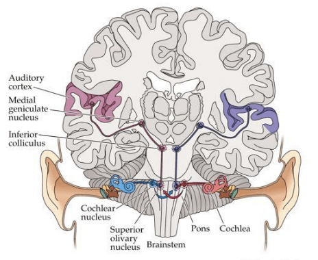 Screen Shot 2012-08-26 at 2.14.43 PM.png